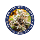 Advanced Seeds