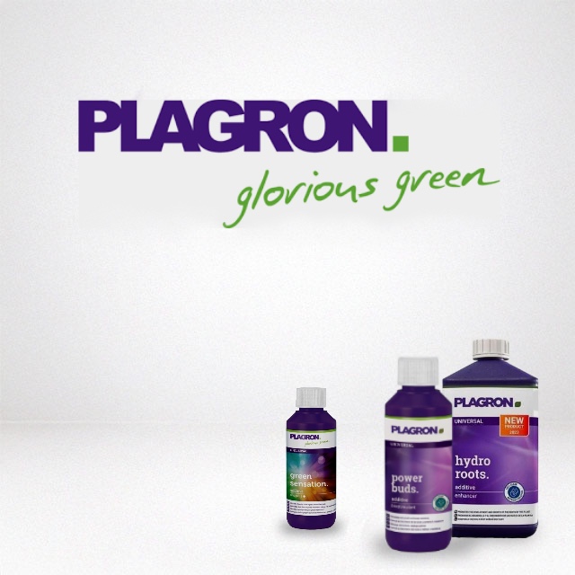 Plagron