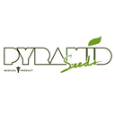 Pyramid Seeds