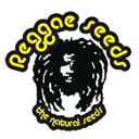 Reggae Seeds