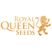 Royal Queen Seeds