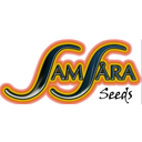 Samsara Seeds
