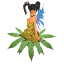 Sativa Seedbank