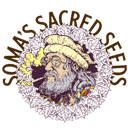 Soma Seeds