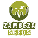 Zambeza Seeds