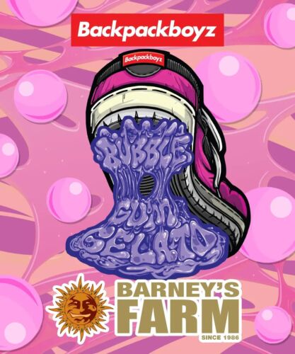 Bubblegum Gelato - Barney's Farm