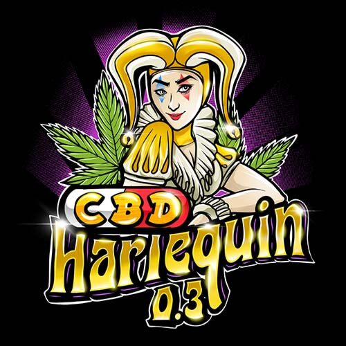 CBD Harlequin 0.3/18% - Sumo Seeds