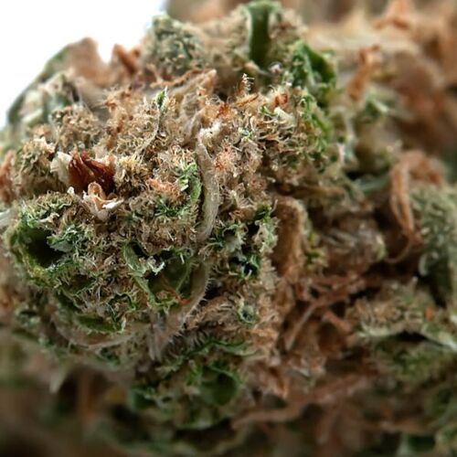 CBD Somango - Huismerk