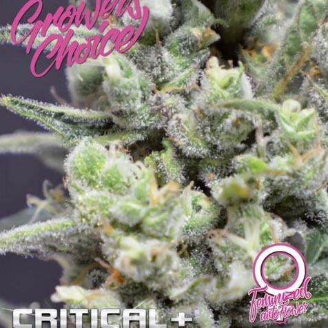 Critical+ Auto - Growers Choice