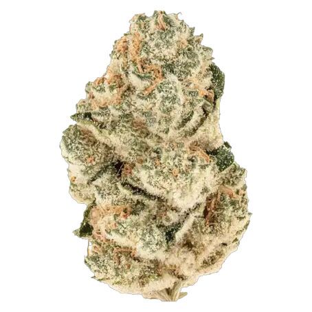 Gorilla Melon - FastBuds