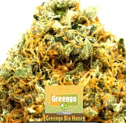 Greengo Bio Haze - Kera seeds