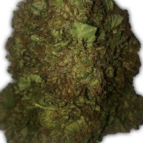 Short and Sweet Auto - Heavyweight Seeds