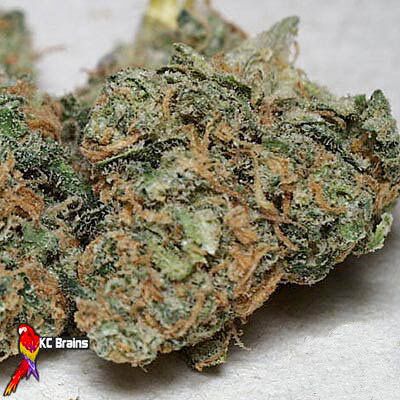 California Special - KC Brains wiet