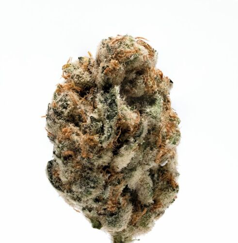 KO Kush - Growers Choice