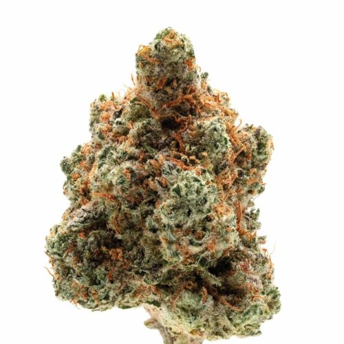 Monkey Glue Auto - Growers Choice