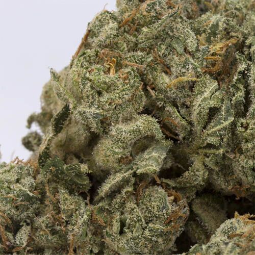 NY Diesel CBD - Huismerk