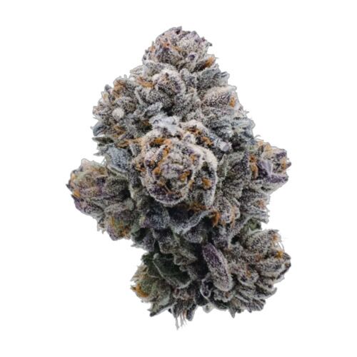 Pink Glitterbomb - Growers Choice