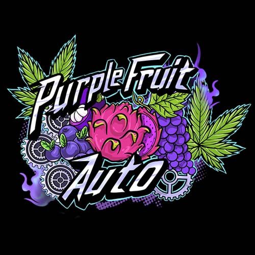 Purple Fruit Auto - Sumo Seeds