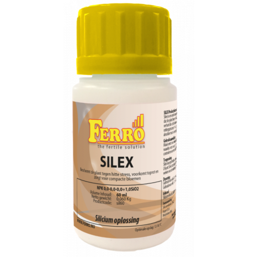 Silex - Ferro