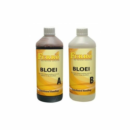 Standaard Bloei A&B - Ferro