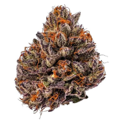 Tropicana Cherry Triploid - Growers Choice