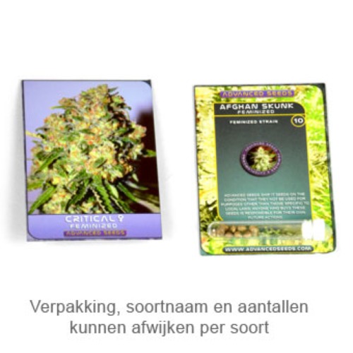 Critical -  Advanced Seeds verpakking