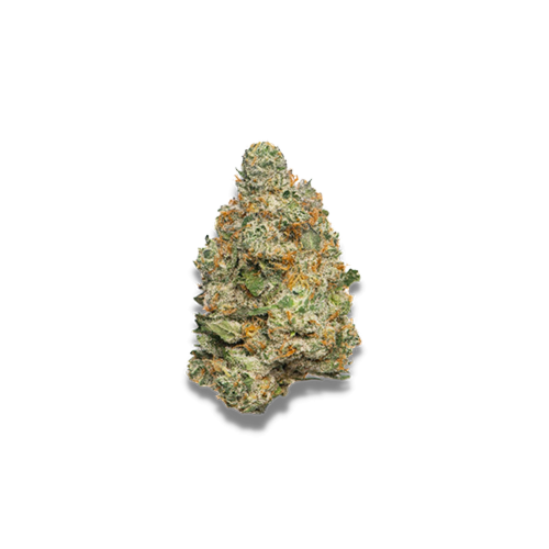Apple Fritter Auto - Growers Choice