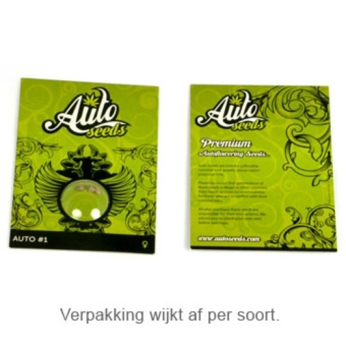 Gorilla Glue - Auto Seeds verpakking