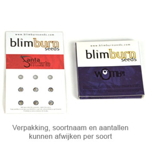 Mamba Negra Auto - Blimburn Seeds verpakking