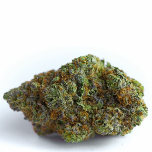 Blue Forest Berry - Growers Choice Top