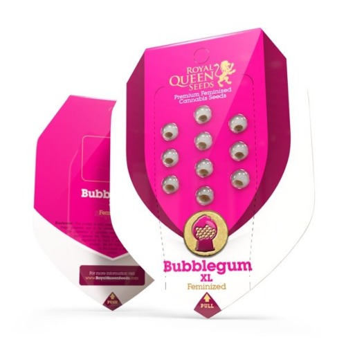 Bubblegum XL - Royal Queen Seeds verpakking