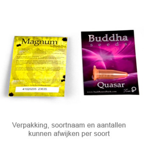 Purple Kush Automatic - Buddha Seeds verpakking