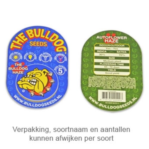 The Bulldog Haze Auto - Bulldog Seeds verpakking