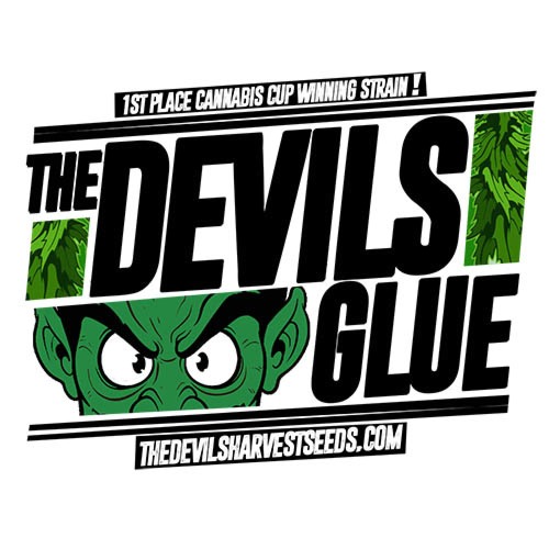 Devil's Glue - Devil's Harvest - Cannabis Cup