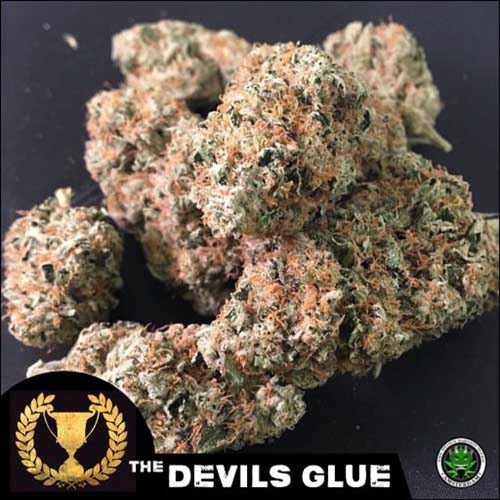 Devil's Glue - Devil's Harvest - Toppen