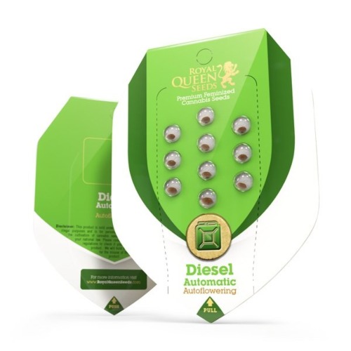 Diesel Automatic verpakking - Royal Queen Seeds