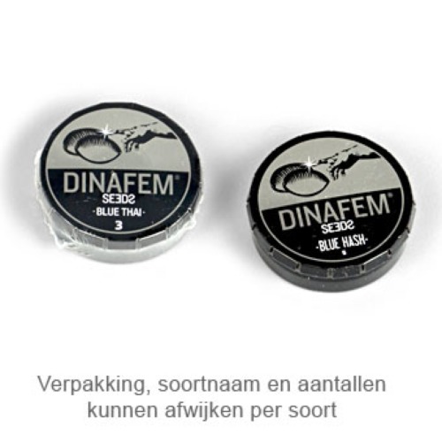 Industrial Plant - Dinafem verpakking