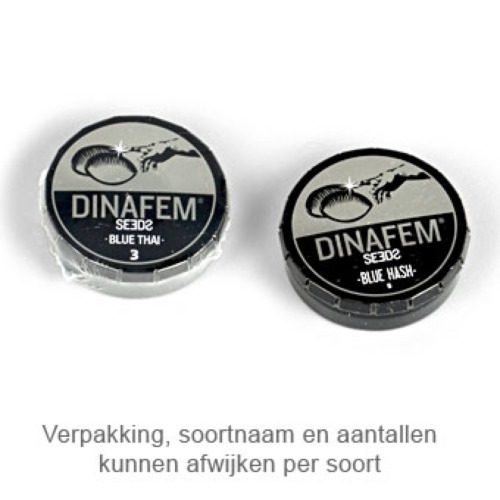 Dinamed CBD - Dinafem verpakking