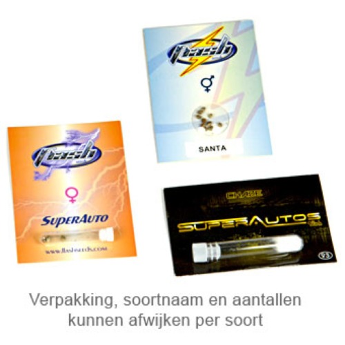 White Sirius - Flash Seeds verpakking