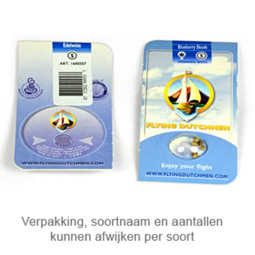 Blueberry Skunk - Flying Dutchmen verpakking
