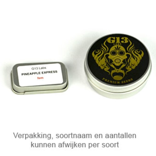 Gigabud - G13 Labs verpakking