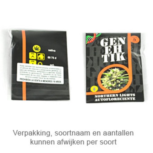 Kritikal Bilbo - Genehtik Seeds verpakking