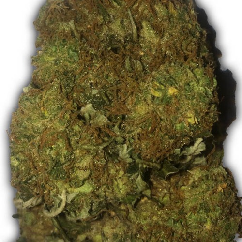 Skunky Monkey Auto - Heavyweight Seeds