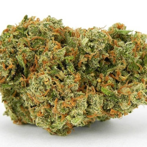 Jack Herer CBD - Huismerk Wietzaadjes.nl