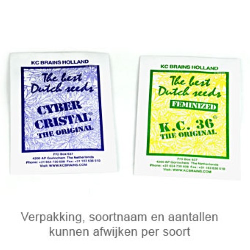 White KC - KC Brains verpakking