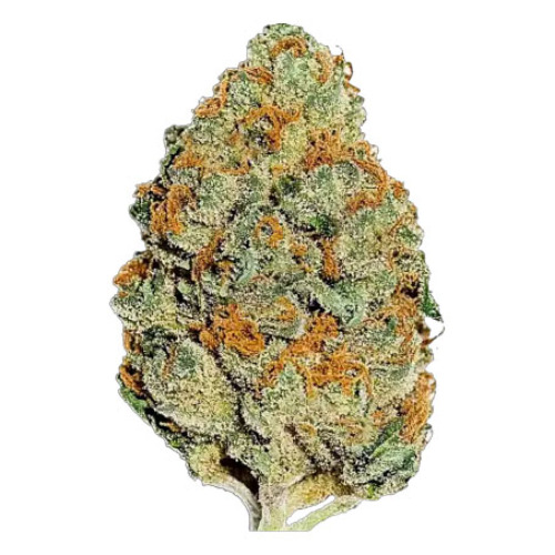 Lemon Mandarin - FastBuds