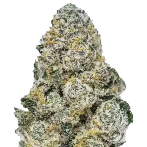 Lemonpaya - FastBuds