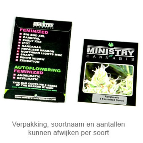 Zensation - Ministry of Cannabis verpakking