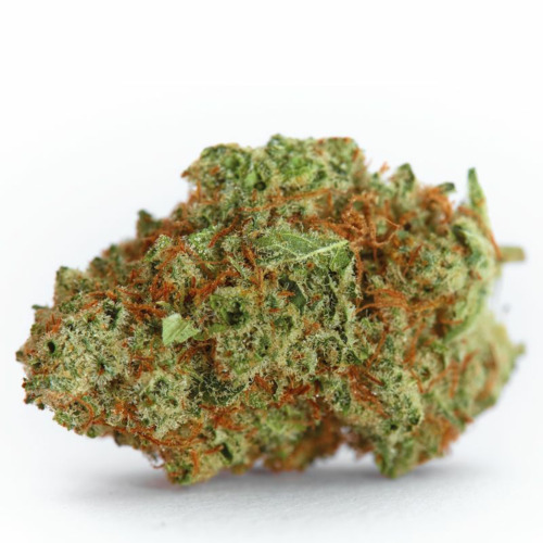 Monsterbud - Growers Choice