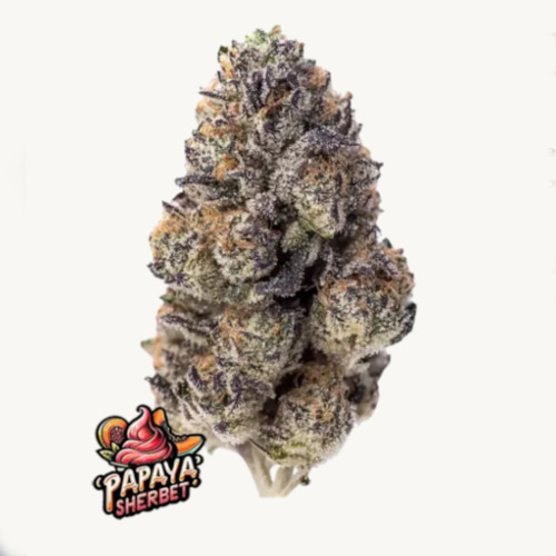 Papaya Sherbet - FastBuds